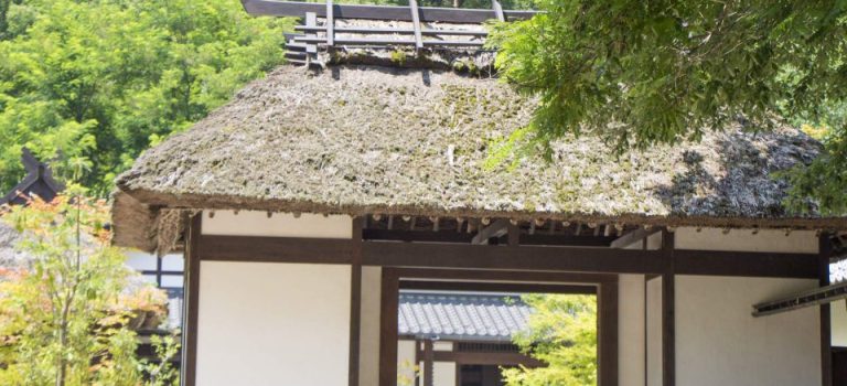 香椎の穏やかさと未来都市化が織りなす住みやすさの真価を探る